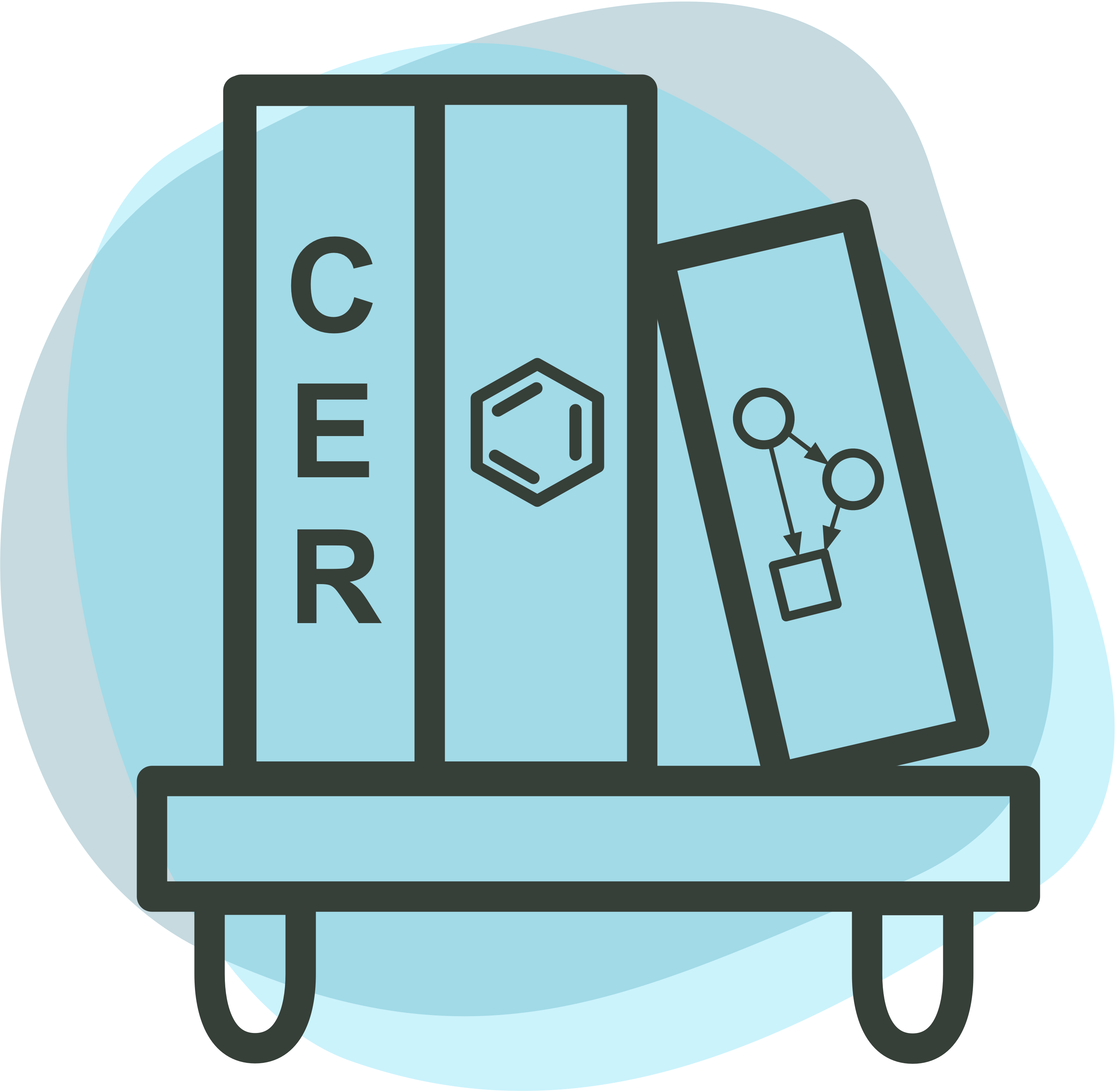 Raker Research Group Logo. Bookshelf with three books. One with the letters C, E, and R for chemical education research. One with the structure of the molecule benzene. And, one with a generic structural equation model.